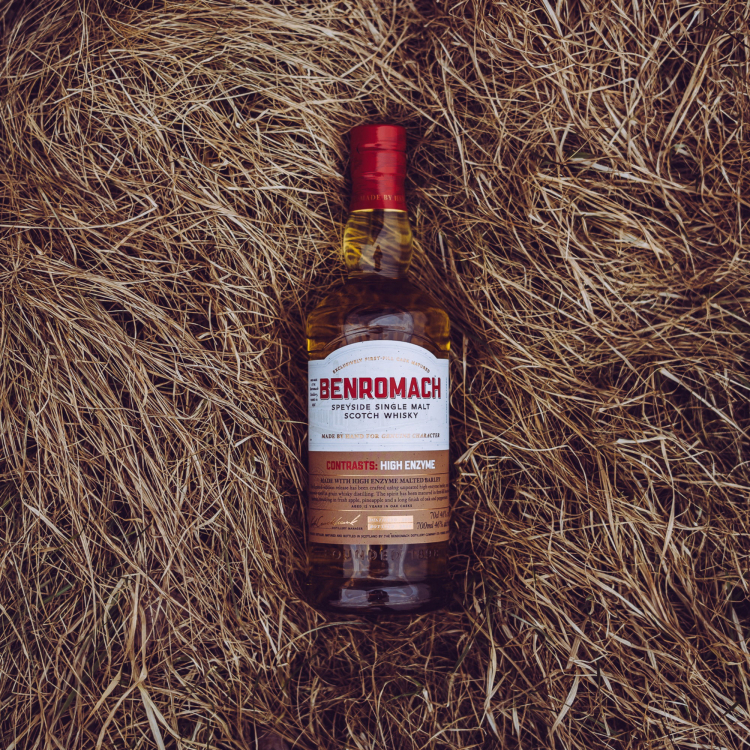 Preview: Benromach Contrasts: High Enzyme 12 Jahre 2012/2024 – 1st Fill Bourbon Barrels